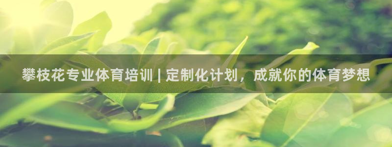 耀世平台可 585341 平台：攀枝花专业体育培训 | 定制