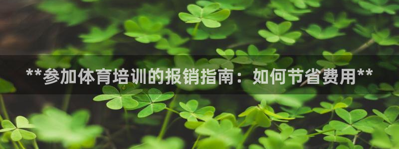 耀世娱乐平台注册登录不了：**参加体育培训的报销指南：如何节