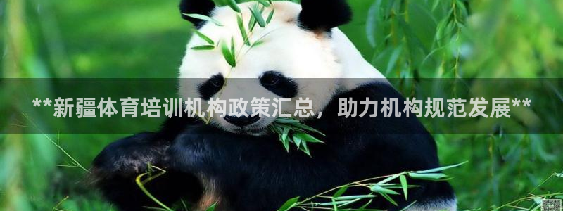 耀世小说全文免费阅读：**新疆体育培训机构政策汇总，助力机构