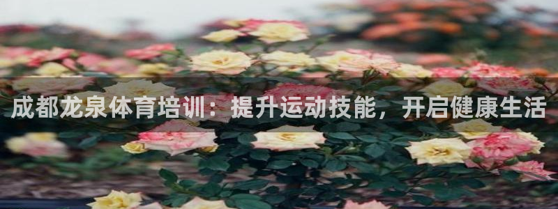 耀世娱乐辅助软件下载安卓：成都龙泉体育培训：提升运动技能，开