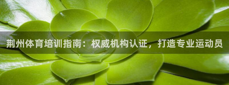 耀世集团总部在哪儿：荆州体育培训指南：权威机构认证，