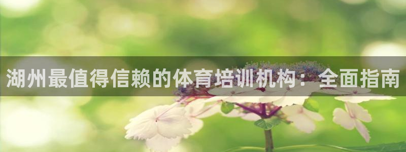 耀世娱乐圈主管：湖州最值得信赖的体育培训机构：全面指南