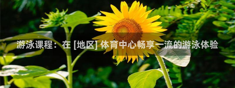 耀世集团是什么电影院：游泳课程：在 [地区] 体育中