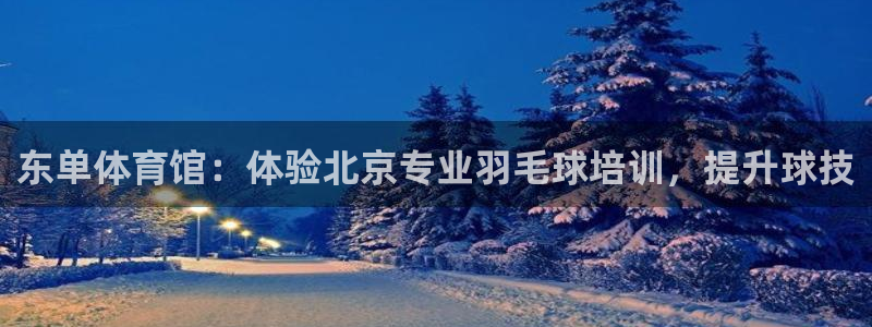 耀世娱乐含山县：东单体育馆：体验北京专业羽毛球培训，