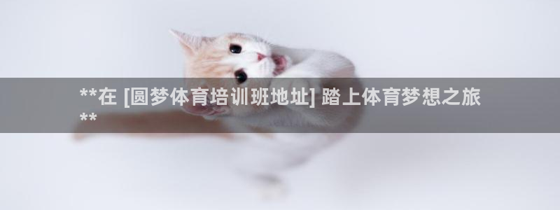耀世娱乐官方网站下载：**在 [圆梦体育培训班地址]