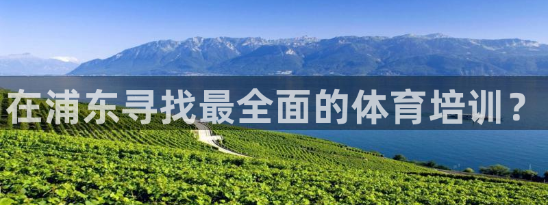 耀世平台开户流程图：在浦东寻找最全面的体育培训？