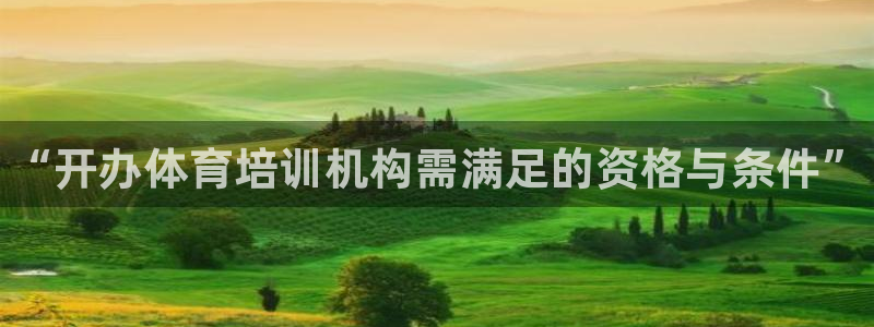 耀世娱乐挂机怎么玩