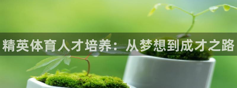 耀世平台拿什么输入账号密码呢