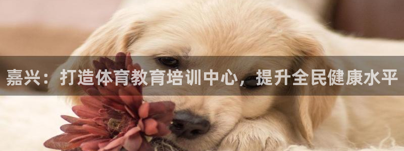 耀世娱乐客服电话号码：嘉兴：打造体育教育培训中心，提