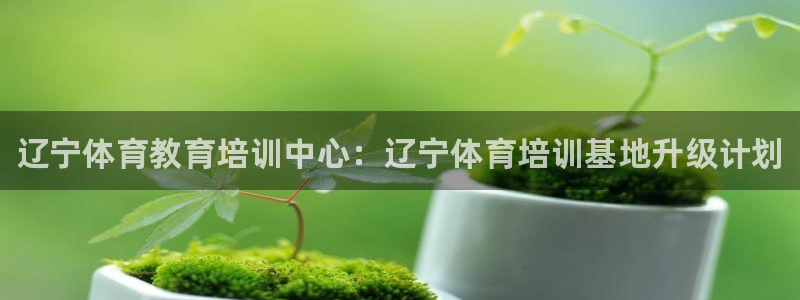 耀世集团王总：辽宁体育教育培训中心：辽宁体育培训基地升级计划