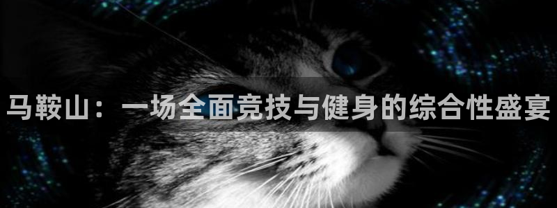 耀世娱乐平台官网入口：马鞍山：一场全面竞技与健身的综合性盛宴