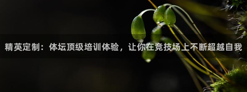 耀世天下的微信名字好吗：精英定制：体坛顶级培训体验，