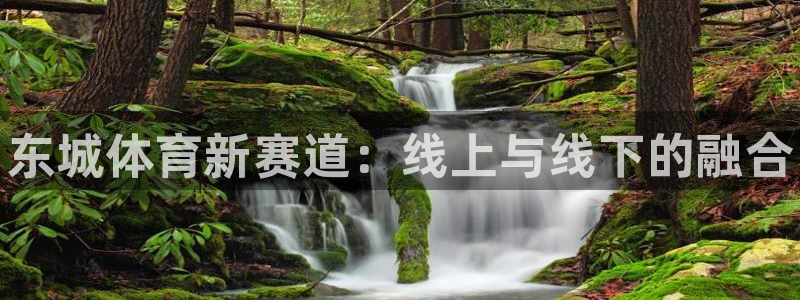 耀世国际平台正规吗可信吗安全吗：东城体育新赛道：线上与线下的