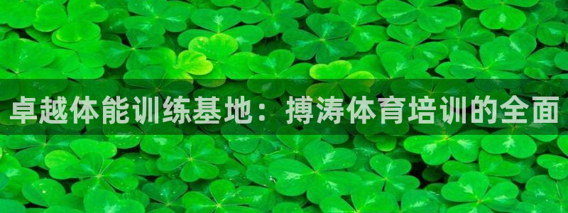 耀世平台注册流程视频：卓越体能训练基地：搏涛体育培训