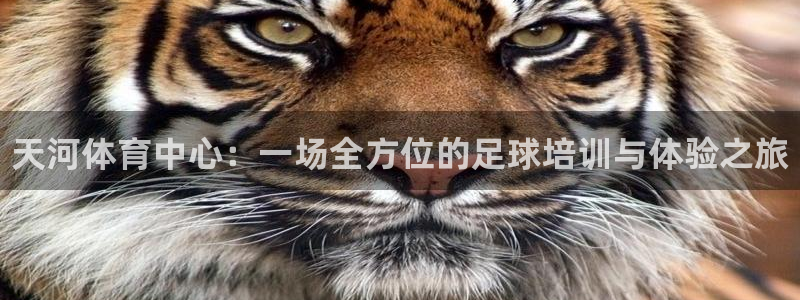 耀世娱乐百科官网：天河体育中心：一场全方位的足球培训