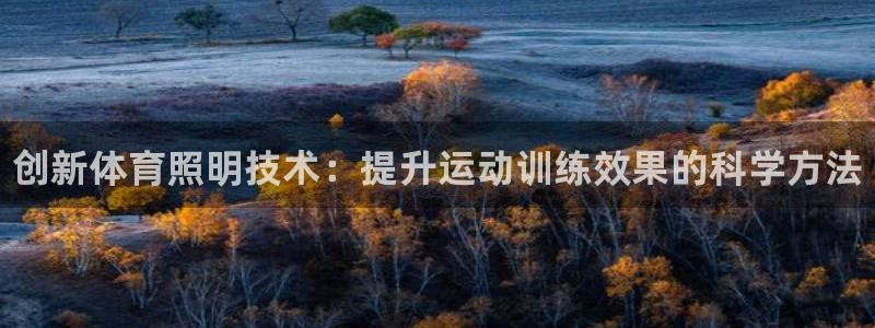 耀世首开什么意思：创新体育照明技术：提升运动训练效果的科学方