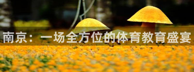 耀世集团王大聪简介：南京：一场全方位的体育教育盛宴