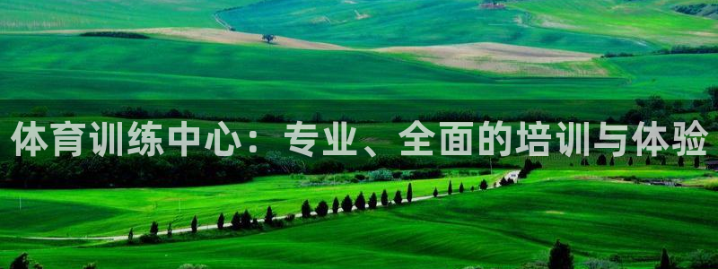 耀世娱乐辅助软件下载：体育训练中心：专业、全面的培训