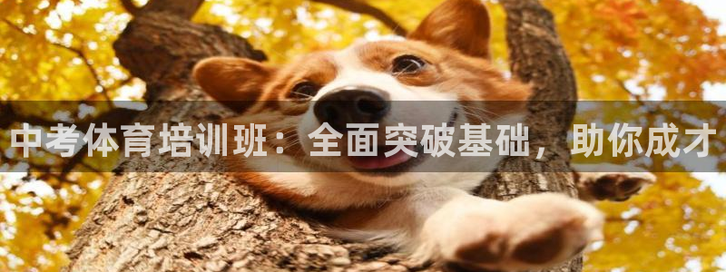 耀世挑战第二关怎么过：中考体育培训班：全面突破基础，