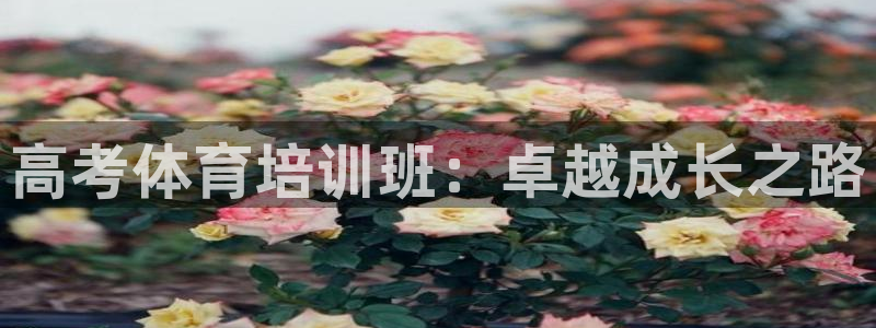 耀世微光mp3下载：高考体育培训班：卓越成长之路