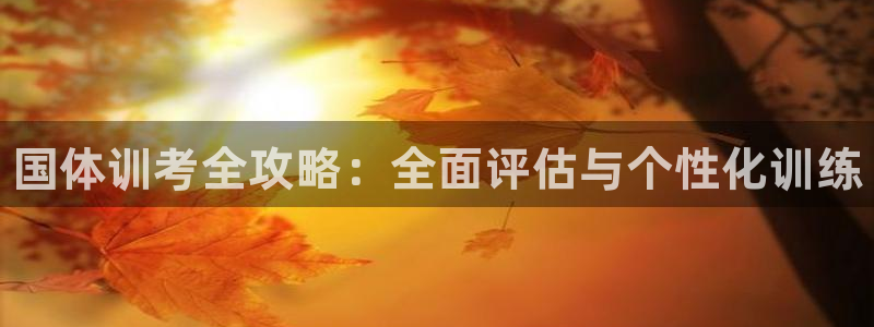 耀世平台告7O777：国体训考全攻略：全面评估与个性