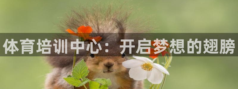 耀世什么意思：体育培训中心：开启梦想的翅膀