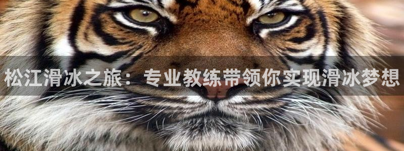 耀世娱乐提现失败怎么办：松江滑冰之旅：专业教练带领你实现滑冰