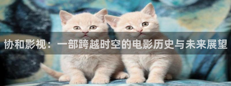 爱看影视大全免费版：协和影视：一部跨越时空的电影历史与未来展望