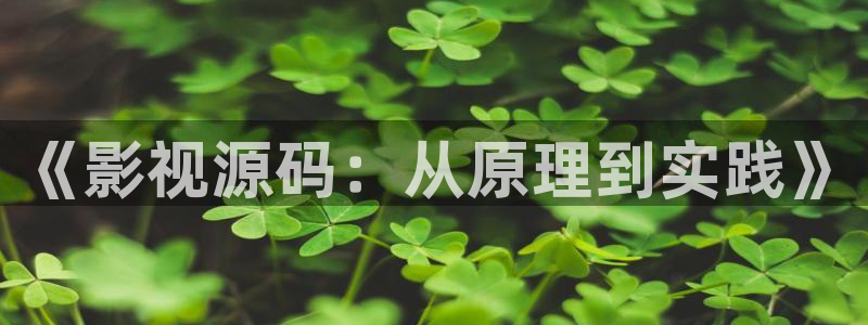 爱看影视网站：《影视源码：从原理到实践》