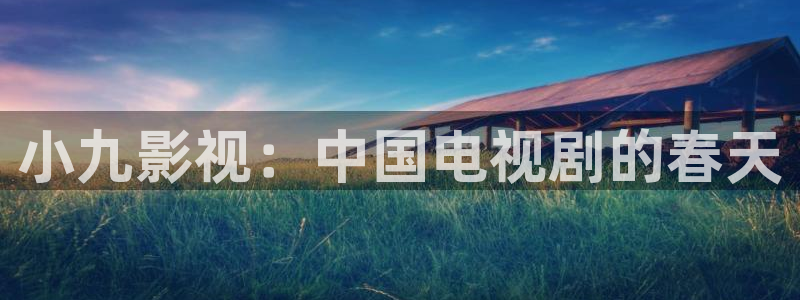 下载爱看影视：小九影视：中国电视剧的春天