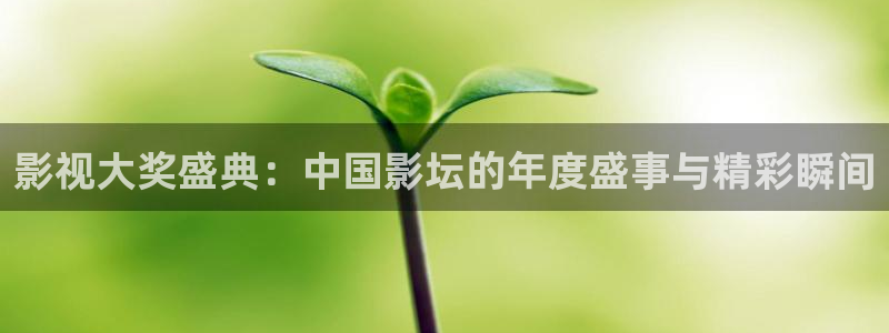 爱看影视剧：影视大奖盛典：中国影坛的年度盛事与精彩瞬间
