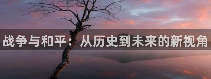 人人爱看视频：战争与和平：从历史到未来的新视角