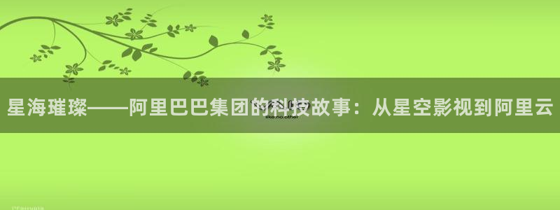 我爱看影视：星海璀璨——阿里巴巴集团的科技故事：从星空影视到阿里云