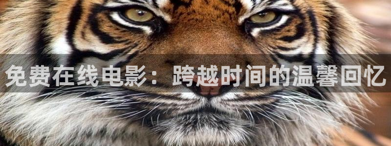 爱看影视大全免费版：免费在线电影：跨越时间的温馨回忆