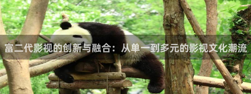 爱看影视app 下载：富二代影视的创新与融合：从单一到多元的影视文化潮流