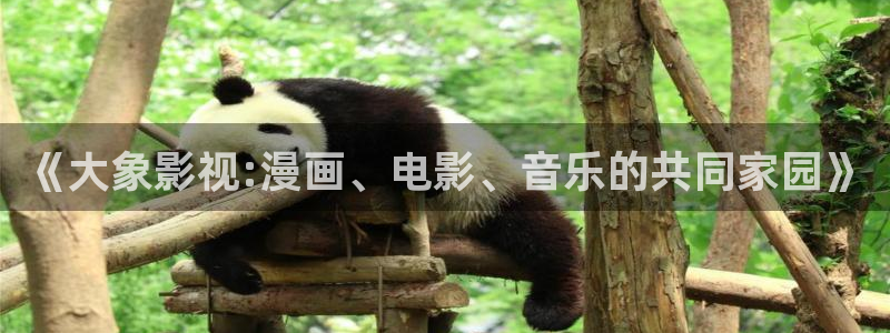 爱看影视：《大象影视:漫画、电影、音乐的共同家园》