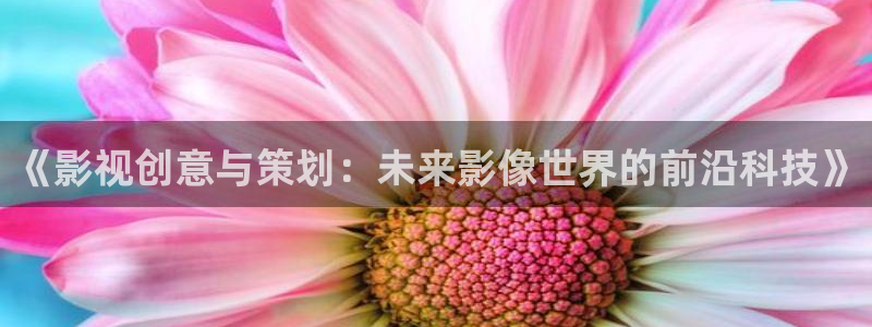 爱看影视大全免费追剧：《影视创意与策划：未来影像世界的前沿科技》