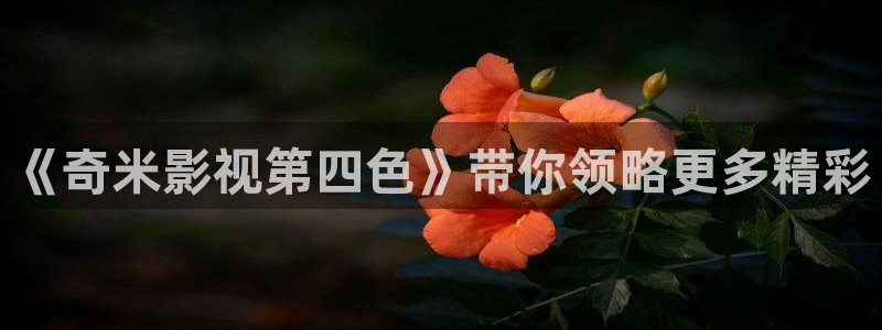 感官世界爱看影视：《奇米影视第四色》带你领略更多精彩