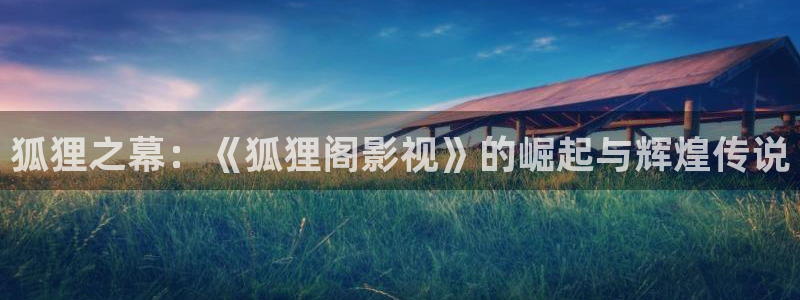 pp爱看影视网：狐狸之幕：《狐狸阁影视》的崛起与辉煌传说